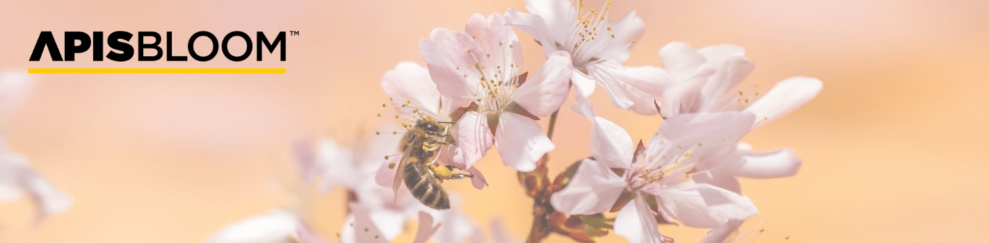 APIS BLOOM